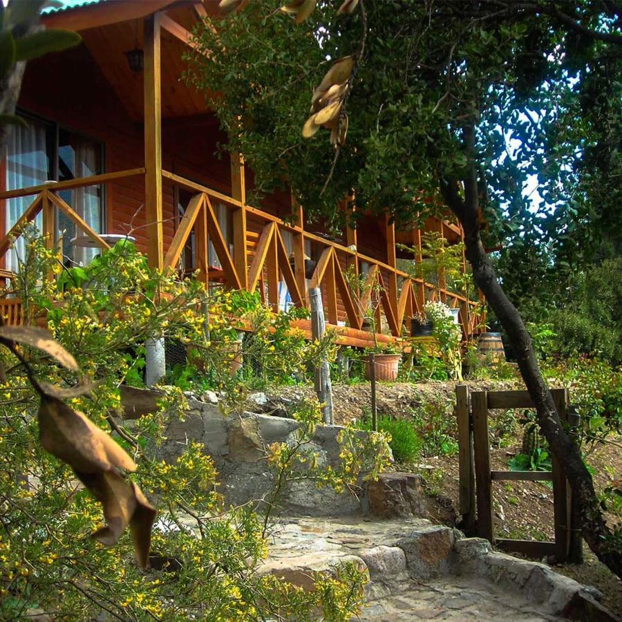 Las Lomitas De Guayacan, Cabanas Y Spa San José de Maipo エクステリア 写真